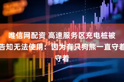 唯信网配资 高速服务区充电桩被告知无法使用：因为有只狗熊一直守着